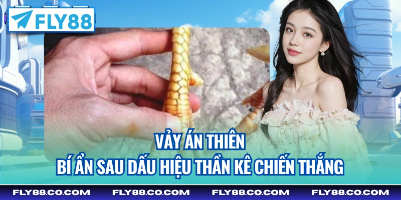 vảy án thiên